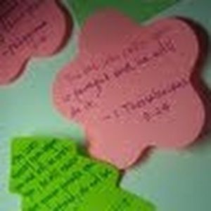 Meet your Posher, Julie